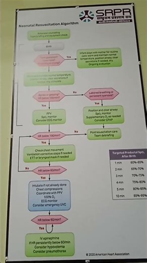 neonatal resuscitation algorithm