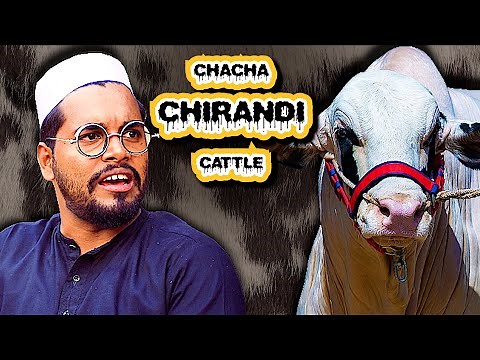 Chacha Chirandi Cattle Farm | Cow Mandi | | Bakra Eid Special | The Fun Fin | Comedy Sketch