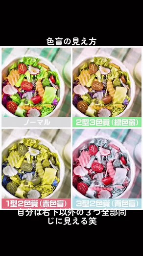 色盲と色覚異常の世界について