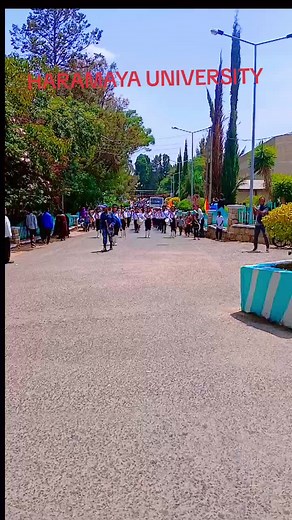 Haramaya University Graduation Ceremony Highlights