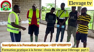 Formation pratique à la ferme | Élevages Leaders
