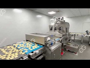 Fully Automatic Biscuit Making Machine Price