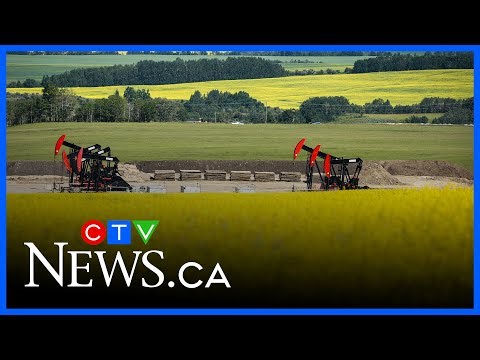 ‘Extreme disappointment in what China has done’ | Canadian Canola Growers Association President