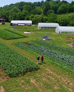 4.5K views · 131 reactions | “When you rid the book of Genesis of its...