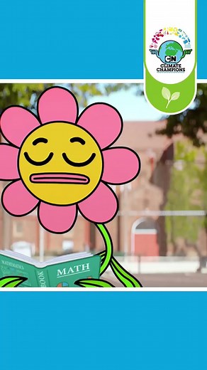 Let the Plants Take the Lead: Understanding Photosynthesis