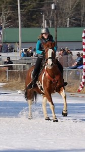 Scoot Boots were spotted on several horses at the Equine Skijoring at The Topsham Fairgrounds event in Maine, US. 🐎⛷️ Photographer Jennifer Bechard (@jenniferdbechard) was at the event and took some beautiful photos and videos capturing the essence of the sport. 📷 | Scootboot