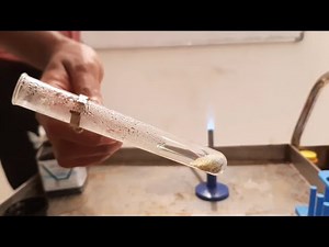 10th Science, Activity 1.5