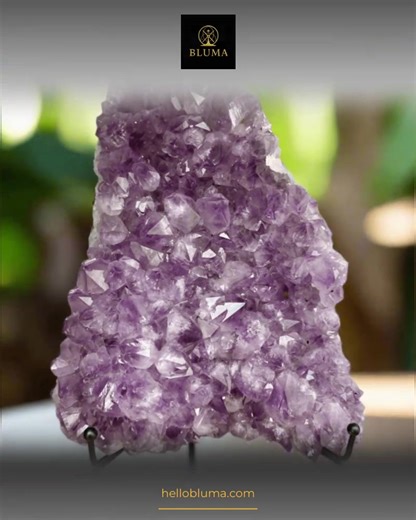 ✨ Ready to elevate your space? Meet the Natural Brazilian Amethyst Crystal Decor - Large Cluster! 🌿 This stunning centerpiece not only beautifies your surroundings but also works to cleanse your chakra and boost your energy ✨. Let the high-vibe essence of this crystal-savvy décor infuse your daily rituals with calm and positivity 🧘‍♀️. Low vibes weighing you down? It's time to gift yourself the serenity and joy that only a natural amethyst can bring 💜. 👉 Experience the magic—tap to learn mor