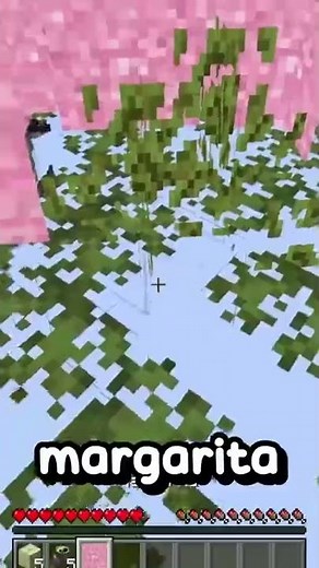 Minecraft, pero las Texturas son Aleatorias