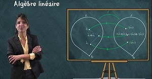 Algèbre linéaire de première année d’enseignement supérieur