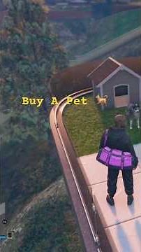 How To Buy A Dog GTA 5 Online