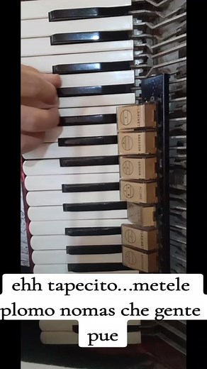 Metele Plomo: El Chamamé Más Majestuoso