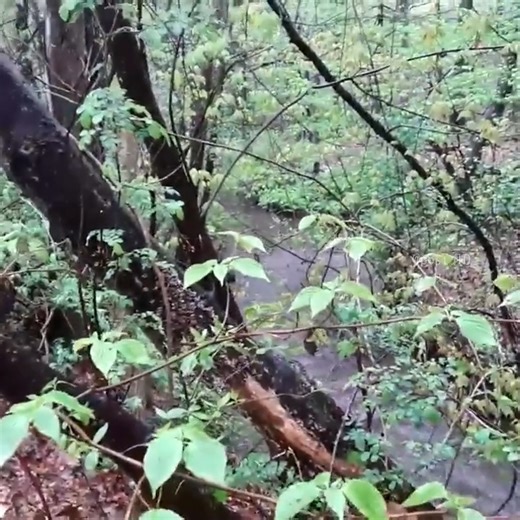 3.5K views · 49 reactions | Part 2 Draining a Flooded Street | Post10 | Facebook