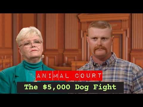 Animal Court | The $5,000 Dog Fight