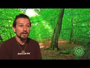 David Wolfe - Vision of Paradise