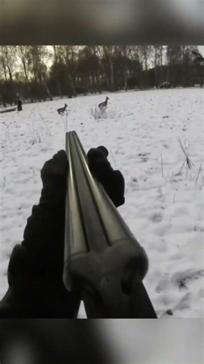 Epic Deer Hunt in the Snow! 🦌❄️#DeerHunting #HuntingLife #DeerHunter #HuntingSeason #Wildlife