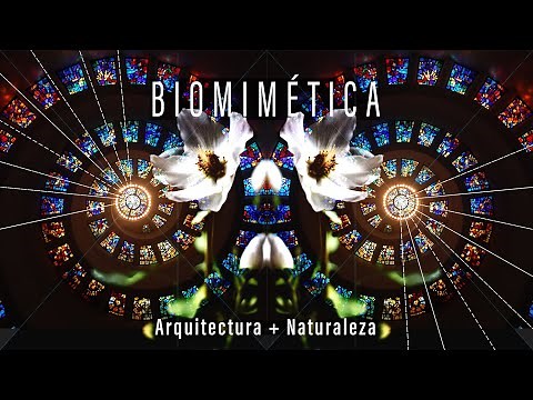 BIOMIMÉTICA en Arquitectura 🌿 Aprende de la naturaleza para hacer más eficiente tu diseño 🐝
