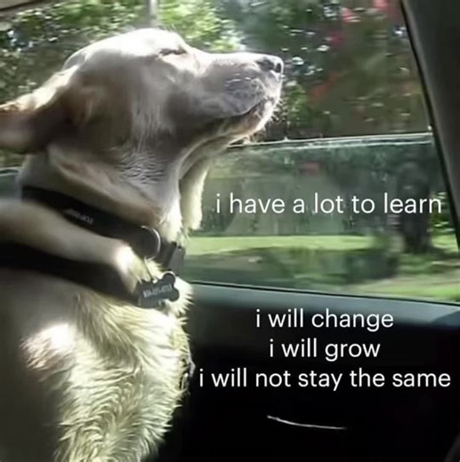 Embracing Change Through Hopecore Philosophy