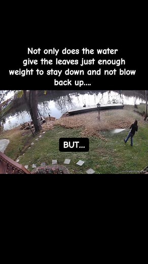 84 reactions · 17 comments | It’s that time of year and last year I came across a new way to blow leaves when my leaf blower was just not cutting it. Check it out, try it out, and let me know what you think! #thebikinibuilder #lifehacks #leafblowinggamechanger | Autumn Bradley | Facebook