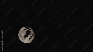 A big full moon behind the tree branches. Big Full Moon Behind Tree Branches Dark Night. Establishing Shot Full Honey Moon Rise Behind Silhouette Branches. Hot air swirls in the moonlight