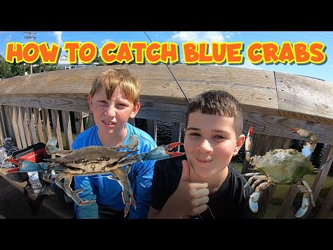 How to Catch Blue Crabs 101: Includes Location, Bait and Best Time - Garden City South Carolina