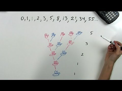 Why Are Fibonacci Numbers Important in Nature? : Math Problems & Trigonometry