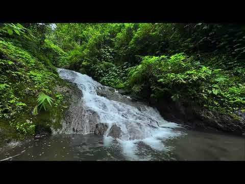 West Java river sound journey with flowing water patterns for focus, clarity, and natural balance
