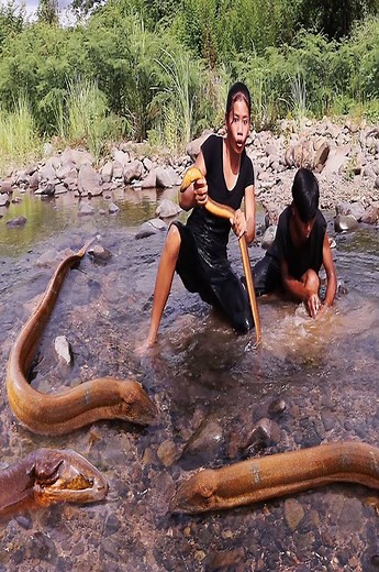4.1K views · 35 reactions | Wow! Found and Big eel in river for food - Eel soup spicy delicious Eating with Younger brother | CHEF GIRL | Facebook