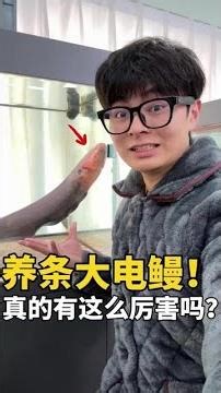 New member! Giant electric eel! #SciencePopularization #FishRaisingDiary #ElectricEel #SeniorLuWei