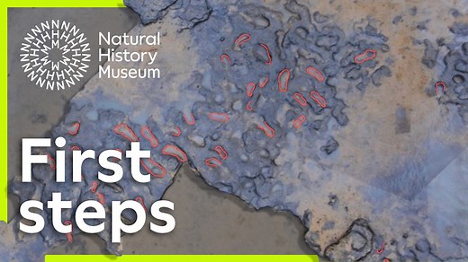 The oldest human footprints in Europe | Natural History Museum