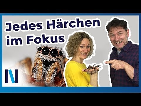 Macro photography: Focus stacking and focus bracketing – for a razor-sharp subject