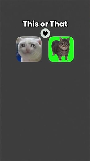 My fav meme cats❤️❤️❤️