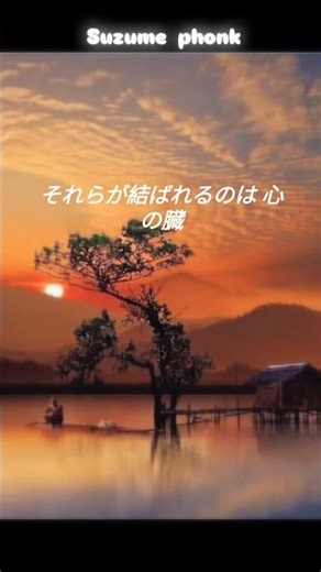 𝖘𝖚𝖟𝖚𝖒𝖊 𝖕𝖍𝖔𝖓𝖐 𝖘𝖔𝖓𝖌🎧|𝖋𝖊𝖆𝖙. 𝖙𝖔𝖆𝖐𝖆)