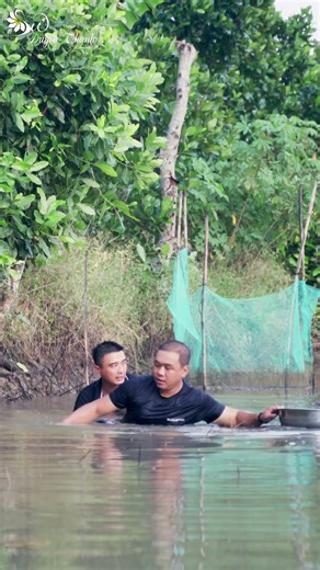 Back to the Countryside – Catching Snails, Crabs & Growing Greens