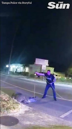Moment cop jumps on ALLIGATORS back to catch it in Tampa, Florida 🐊#shorts