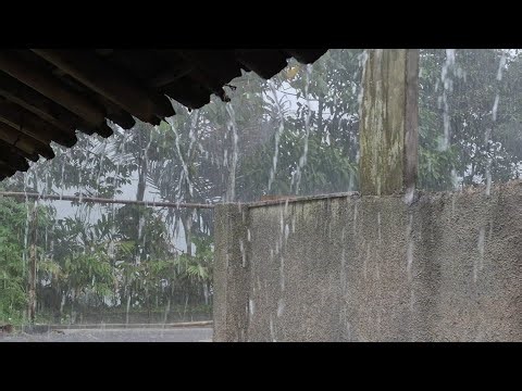 Heavy Rain Sounds 🌧️ Sleep Instantly | Deep Sleep