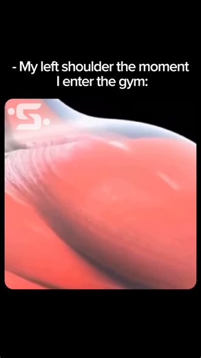 Stil community on Instagram: "👇IMPORTANT TO READ👇 - There are actually gold reasons for this to be true: for instance, the shoulder is probably the most paradoxical joint in the human body; as it combines an enormous range of motion with limited structural stability. As a matter of fact, this duality is present in close to everything: For any philosophical or scientific discipline, it is a fact that the greater its explanatory power in specific areas of reality; the less it can be generalized.