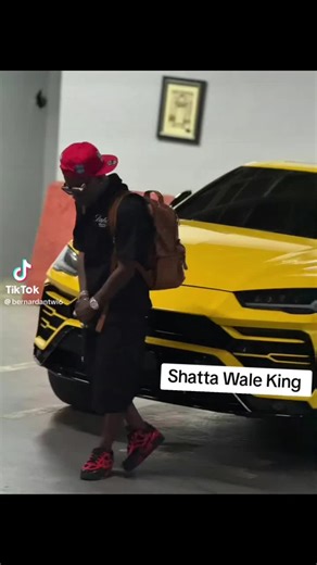 Zelu (@zelu565)’s videos with original sound - Zelu