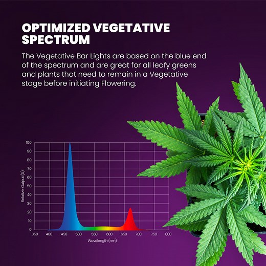 Kind Led Grow Light Bar X40 / X80