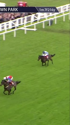 Impressive from Hurricane Pat at Sandown! #horse #horseracing #racingtv #sport