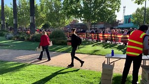 1.5K views · 22 reactions |  TULIP DIG UNDERWAY  People arrived as early as 5am for the City of Greater Bendigo’s annual tulip dig. Patiently waiting for the 8am start with pitchforks and gloves, the first few through the gates were a mix of experienced and new diggers, some with a plan, others just happy to wing it. | ABC Central Victoria | Facebook