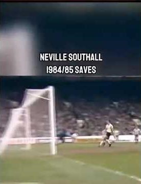 Everton Neville Southall best keeper in the world #everton #football #everton2