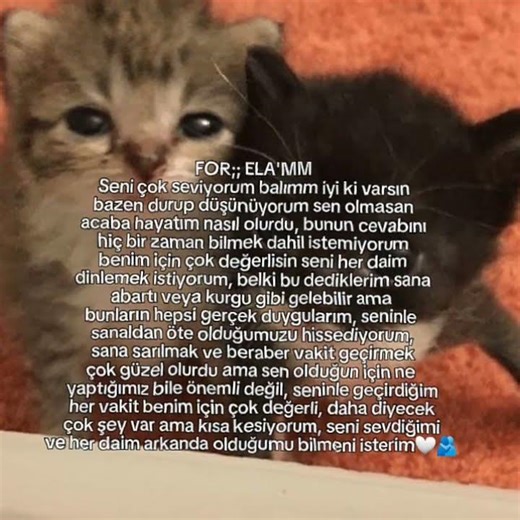 ‪@mikeshinoda_44evr‬ ♡ #ytdayibenionecikarnolur #httpswww #music #E♡Y #global