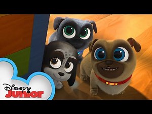 Wedding Cake Kahunas | Puppy Dog Pals | ‪@disneyjr‬