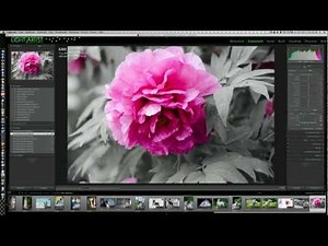 Lightroom - Colorkey Teil II