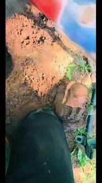 Heartstopper on the river bank !!#shorts #metaldetecting #fail #metaldetectingshorts