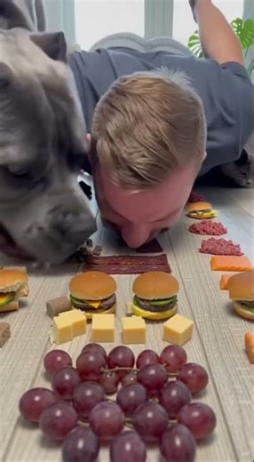 I Challenged My Dog to Eat FAST… You Won’t Believe What Happened! 😱🤣 #shorts #dogs #funny #challenge