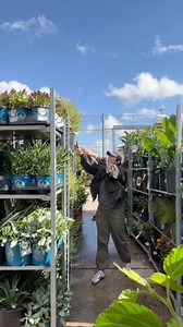 Got a series this month all about curb appeal. Starting off with a few common mistakes to avoid. Thank you to Newrez What are your curb appeal questions? Let me know in the comments. #movingwiththemilitary #pcsseason #curbside #yardwork #pottedplants | Moving with the Military