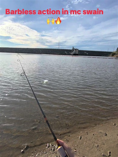 Fishing at Mc Swain: Best Techniques for Rainbow Trout