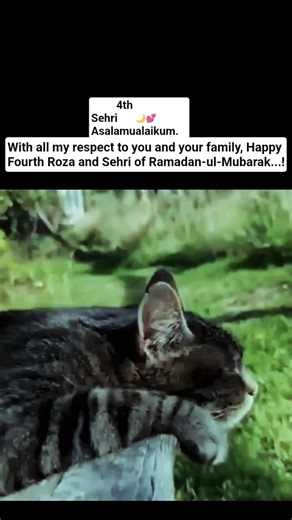 4th sehri mubarak 🌙💕 #Blessings #IslamicReminders #RamadanMubarak #Suhoor #FaithJourney #Peace